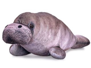 Obrázek z Kapustňák plyš 66cm 